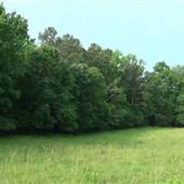 Fork Branch Farm