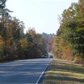 Highway 19
