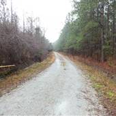 Cain Wilson Road