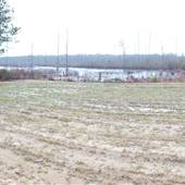 Caines Landing Road