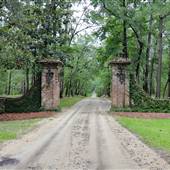 Mansfield Plantation, Road