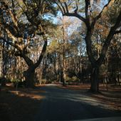 Wando Farms Moore House - January 2018