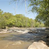Tyger River Foundation -Tyger 10 Nature Park