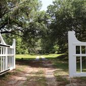 Millbrook Plantation - Summer 2018 - Drive Around