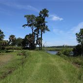 Millbrook Plantation - Summer 2018 - Path from Dyke to House Riverfront Area