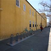 Distressed Walls of Ann Street - Charleston