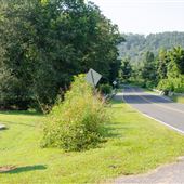 Les Mullinax Park