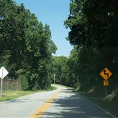 Chinquapin Road