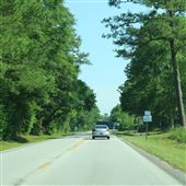 Highway 402 (Between Huger & Cordesville)