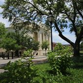Logan Street Park