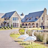 Circle Creek Farms