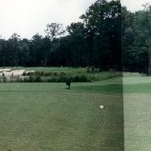 Callawassie Dogwood Course - 5th Hole