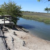 Pitt Street Bridge - May 20 2021