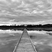 Sloan Reserve