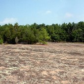 Forty Acre Rock