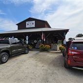 Bush-N-Vine Farm