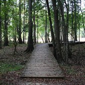 Colleton State Park