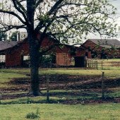 Thornwell School - Dairy Farm