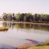 Lake Clare