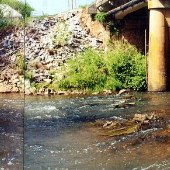 Whitney Dam