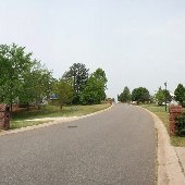 Wimbleton Woods