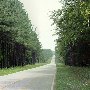 Highway 909