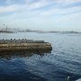 Adgers Wharf
