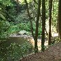 Twin Falls (aka Reedy Cove Falls)