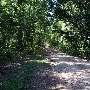 Swamp Rabbit Trail-Lower Travelers Rest