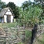 Charles Towne Landing - Pallisades & Crop Garden Area