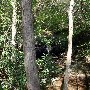 Caesars Head State Park - Wildcat Branch Falls