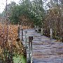 Boone Hall Plantation - Nature Walk (Feb. 2008)