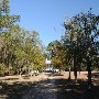 Hampton Plantation State Park