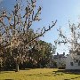 Hampton Plantation State Park