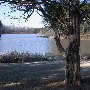 Chester State Park