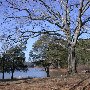 Chester State Park