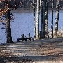 Chester State Park