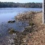 Chester State Park