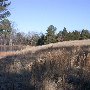 Chester State Park