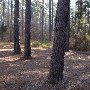 Chester State Park