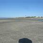 Sullivan's Island Beach - Station 22.5 @ Mid Tide