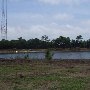 Central Mount Pleasant Pond