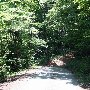 Pinnacle Lake Road