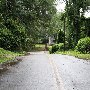 Jack Street