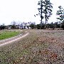 Michael Moss Farms