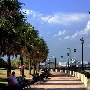 Charleston - General Overview