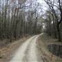 Okeetee Hunt Club - Swamp 1