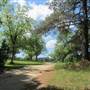 Boone Hall Plantation - Fields & Woods (March 2012)