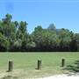 Palmetto Islands County Park - The Meadow - MAY