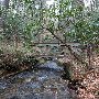 Caesars Head State Park - Wildcat Branch Falls